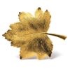 BRO-00033-web Vintage Giovanni Gold Tone Textured Leaf Brooch